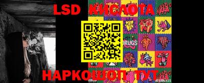 PSILOCYBIN Краснознаменск
