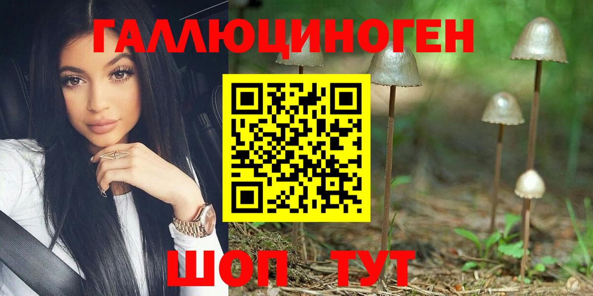 Галлюциногенные грибы Magic Shrooms Кимры