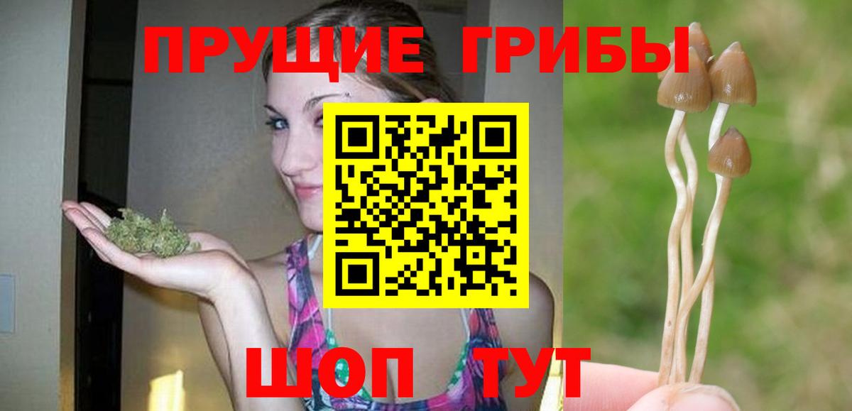 Псилоцибиновые грибы мухоморы  Вход с VPN  Кимры  Галлюциногенные грибы GOLDEN TEACHER 